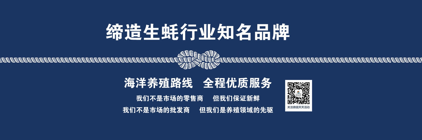 臺(tái)山生蠔